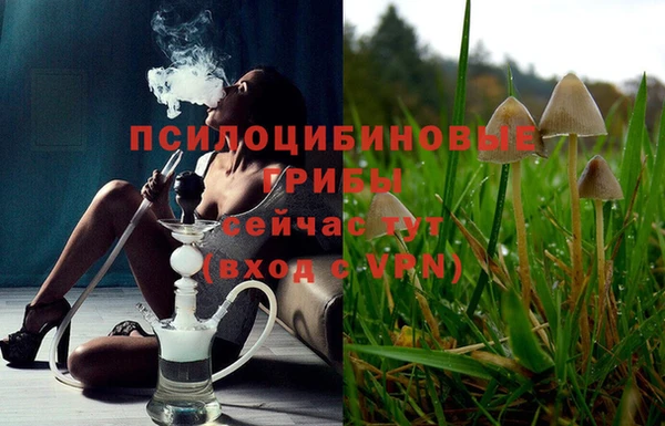 мескалин Ростов