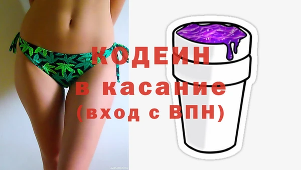 гашик Арсеньев