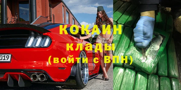 прущие грибы Армянск