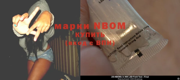 прущие грибы Армянск