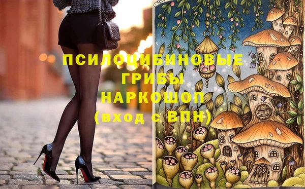 дмт Россошь