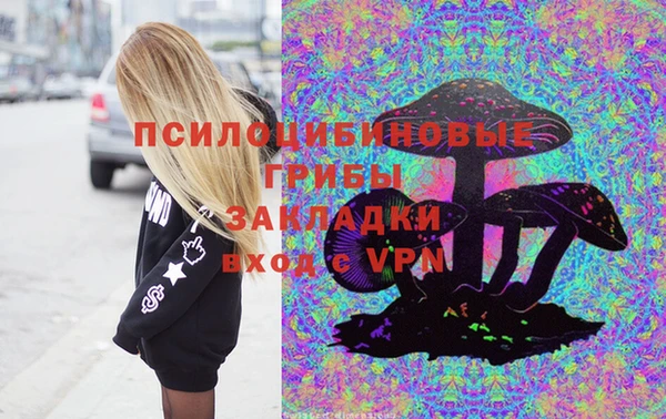 гашик Арсеньев