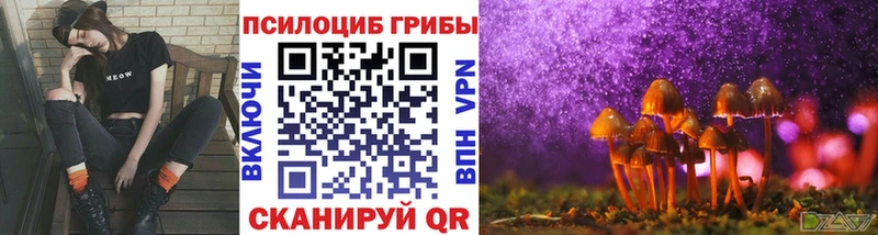 shop состав  где купить наркотик  Себеж  Псилоцибиновые грибы ЛСД 